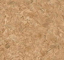 Линолеум Juteks Forum PRIDE 2_613M фото 1 | FLOORDEALER